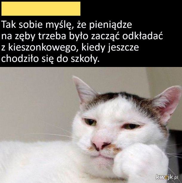 Prawda
