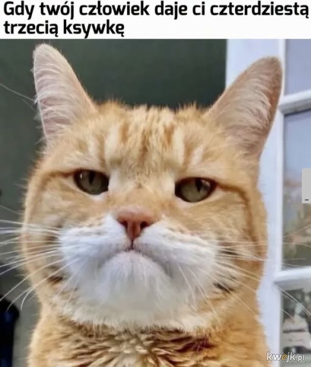 Ksywka