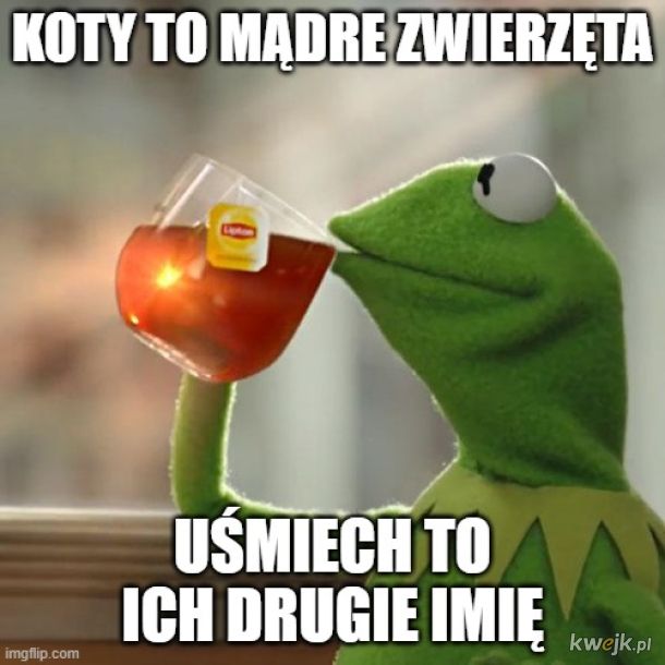 panowie zemsty