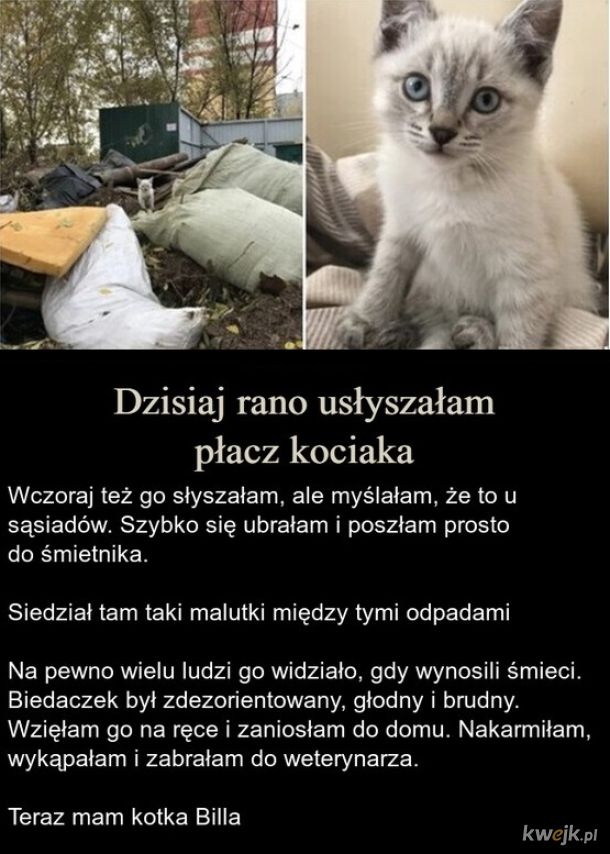 Znajda