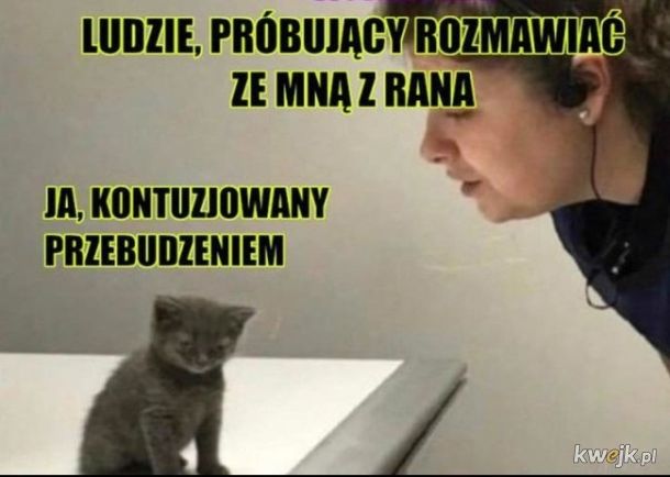 Poranek