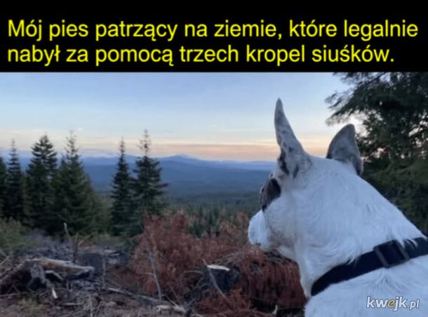 Spójrz tylko