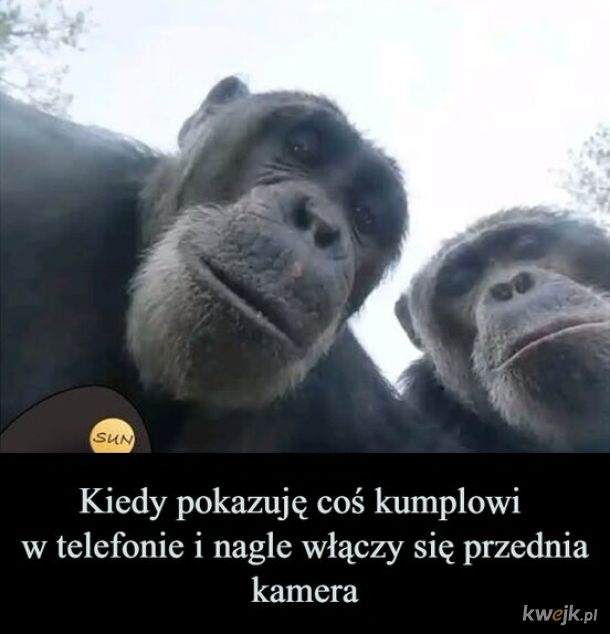 Kumple
