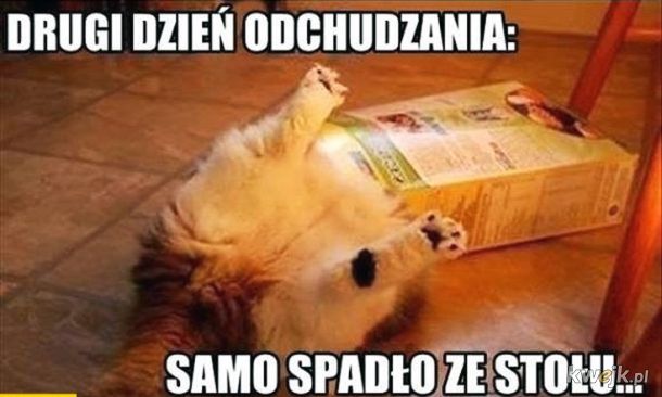 Dieta