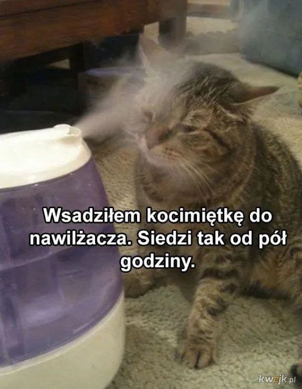 Uzależniony