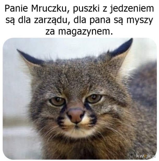 Zarząd