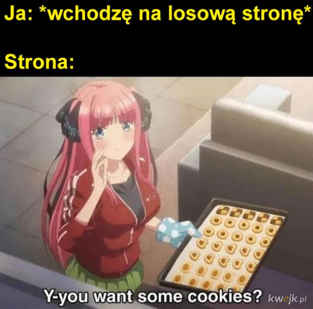 Ciasteczka