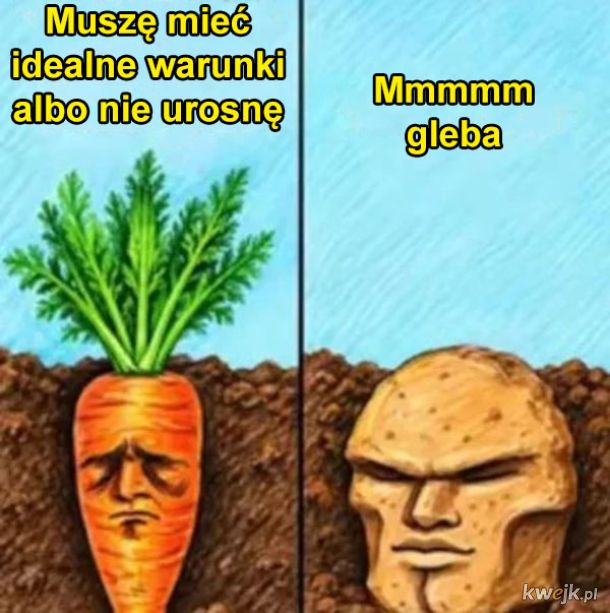 Ziemnior