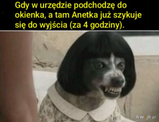 Strach podejść