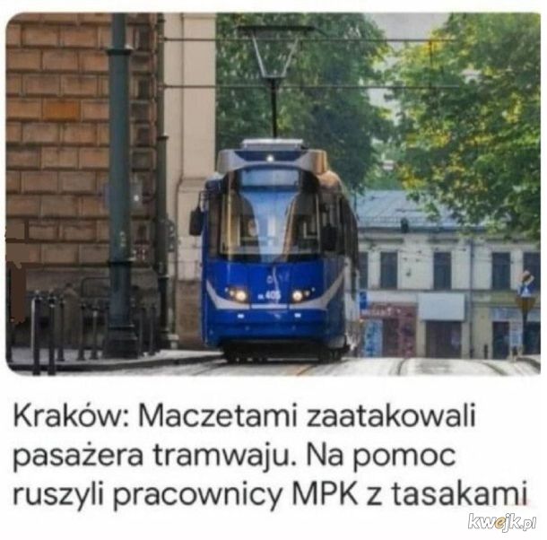 wybory srory, w Krakowie stabilnie