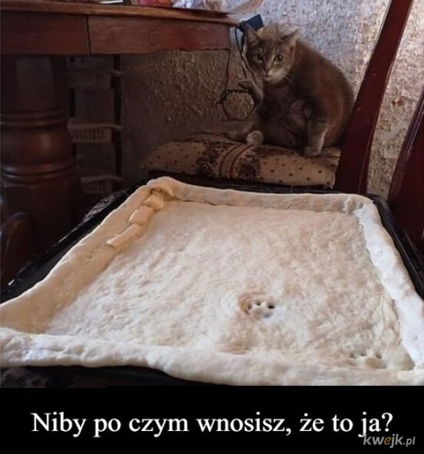 Brak dowodów