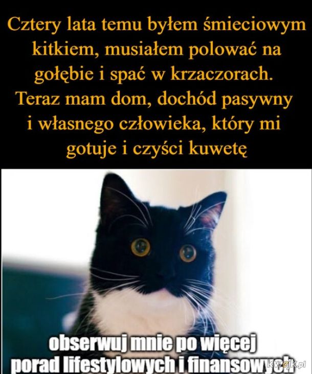 Sukces