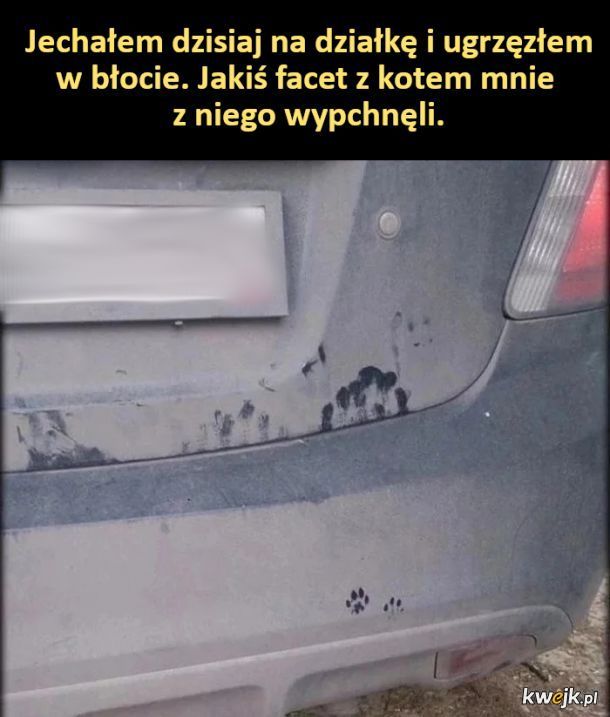 Pomoc