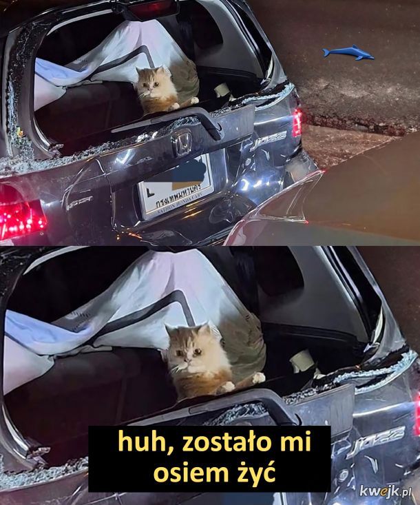 Można szaleć