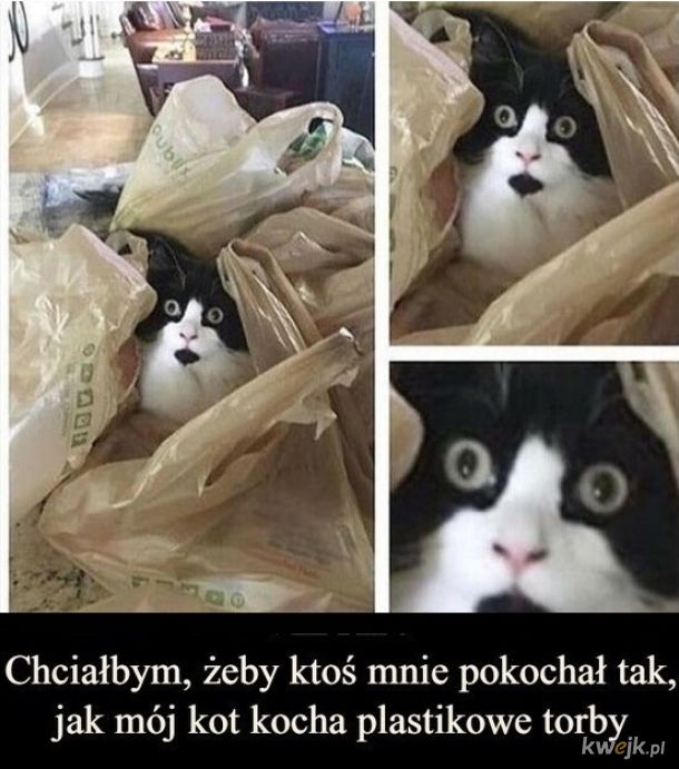 Miłość