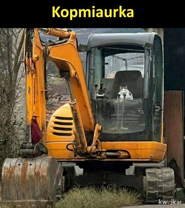 Może być