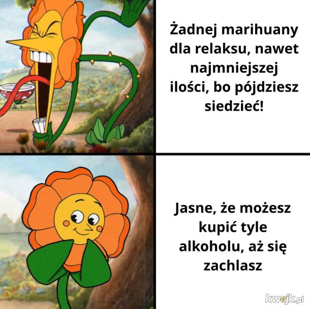 Dziwne