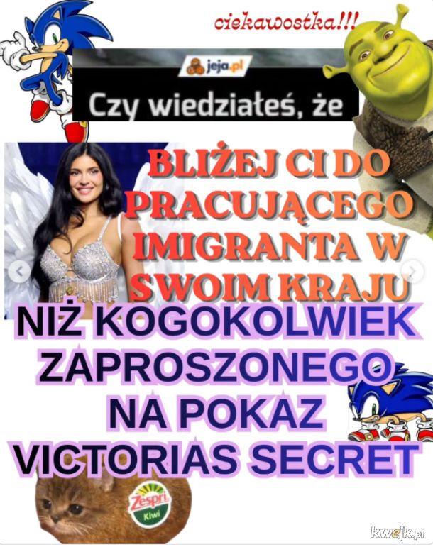 Ciekawostka na dziś