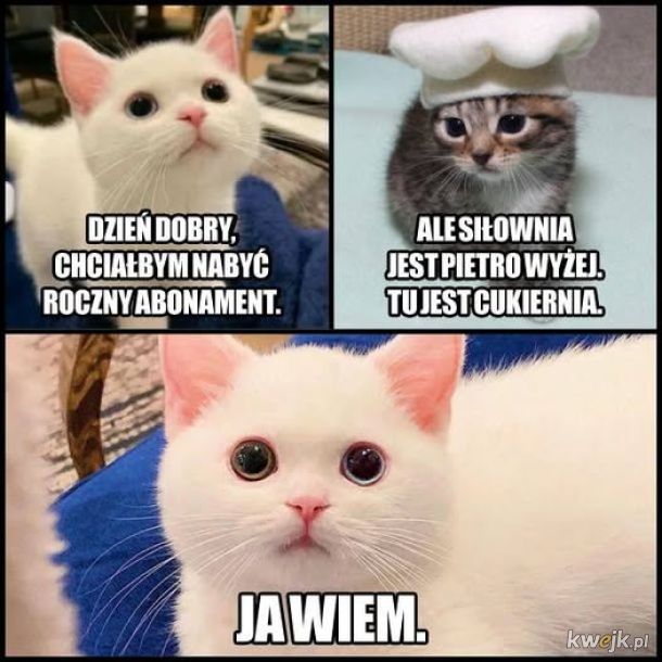 Abonament