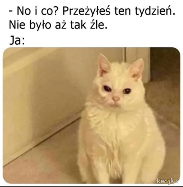 Dał radę