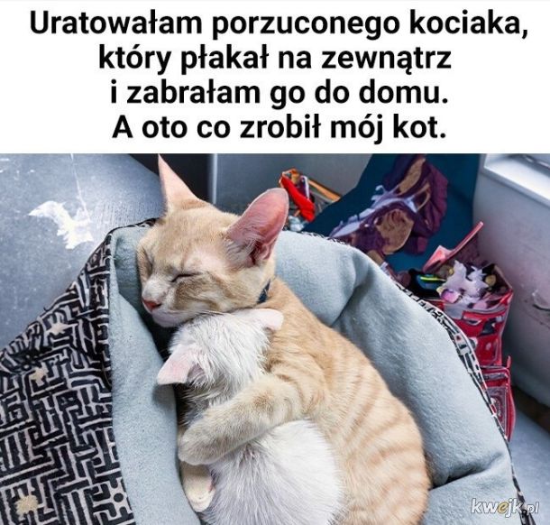 Adopciak