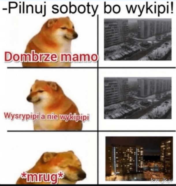 Wykipi