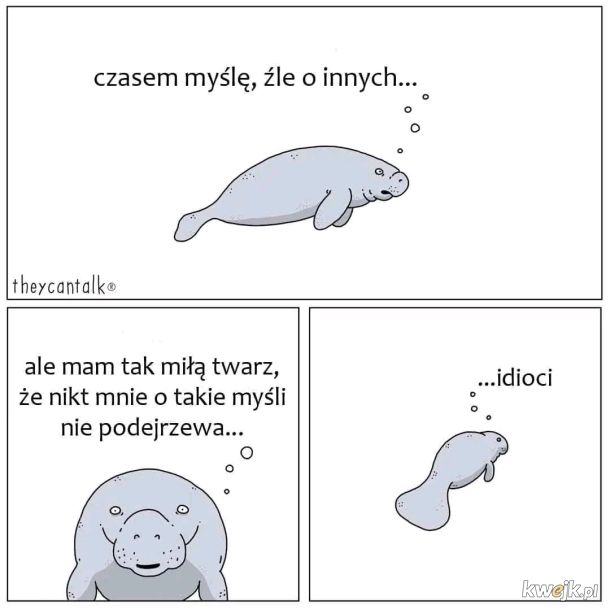 Miła twarz