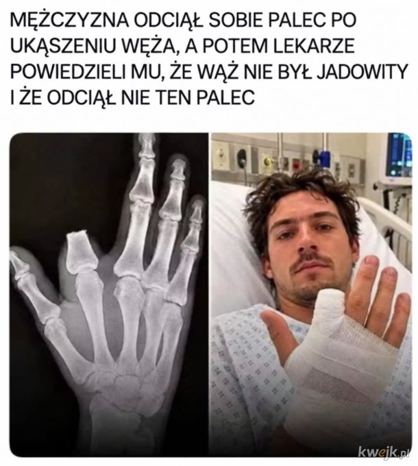 Dobra robota