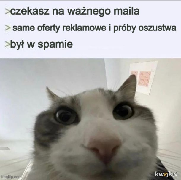 Mail