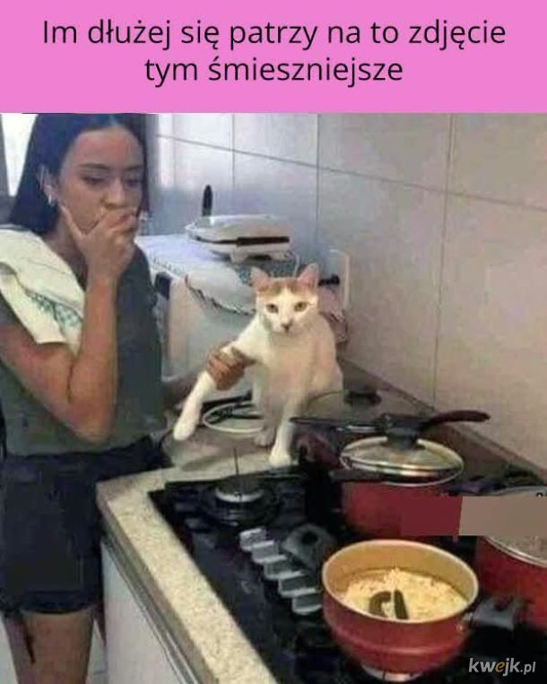 Niespodzianka