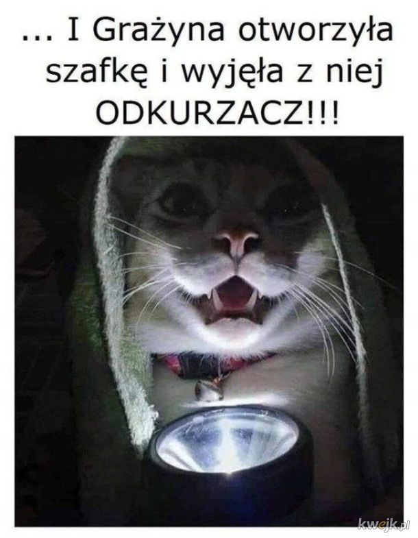 Opowieść