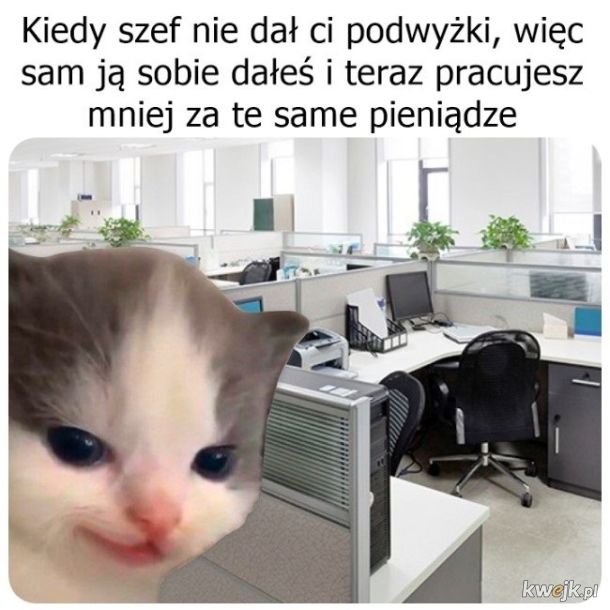 Podwzyka