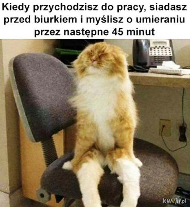 Praca