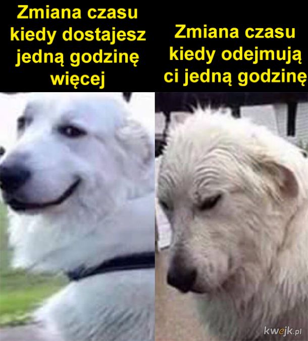 Zmiana czasu