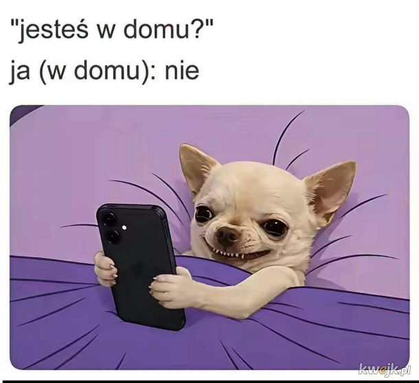 O tak     xd