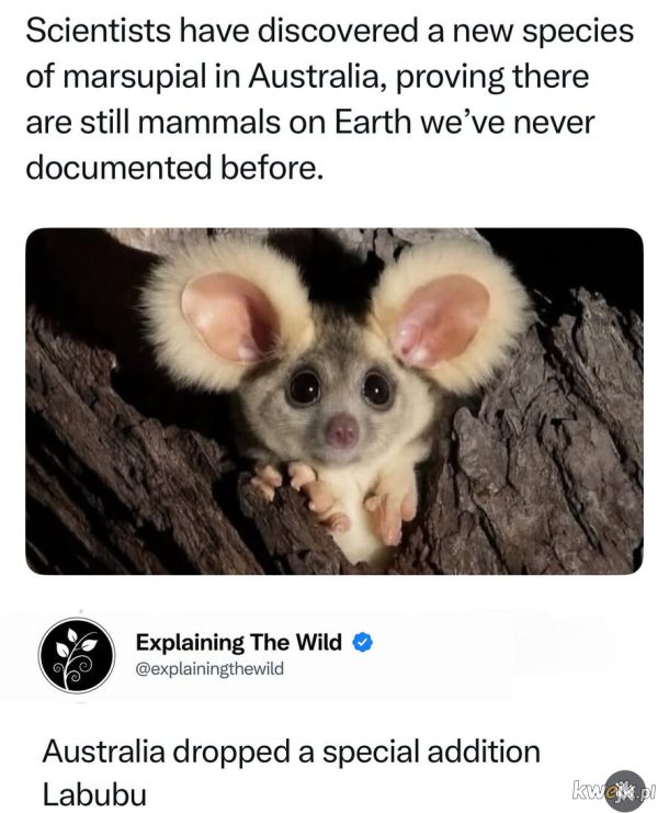 Specjalna edycja