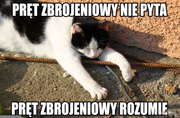 Pręt