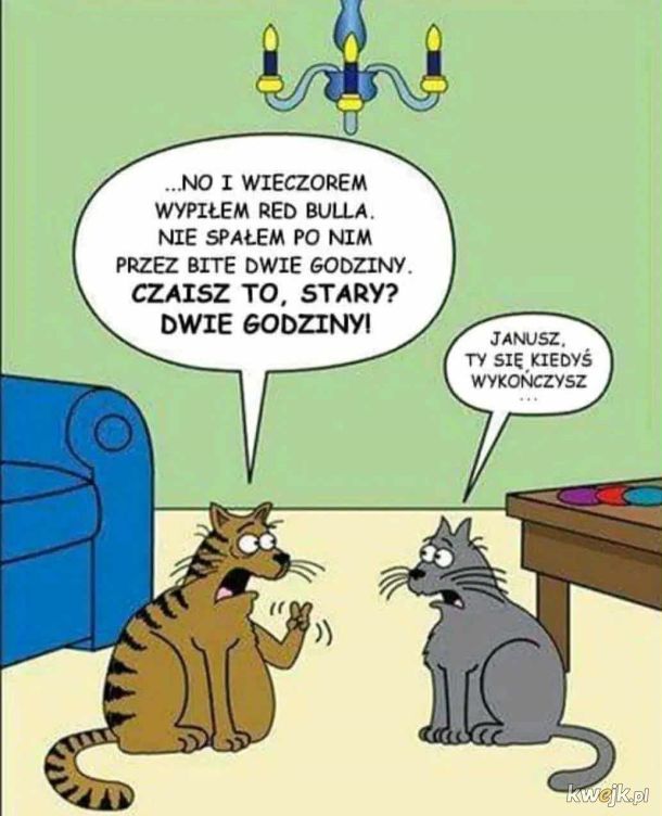 Zwierzenia