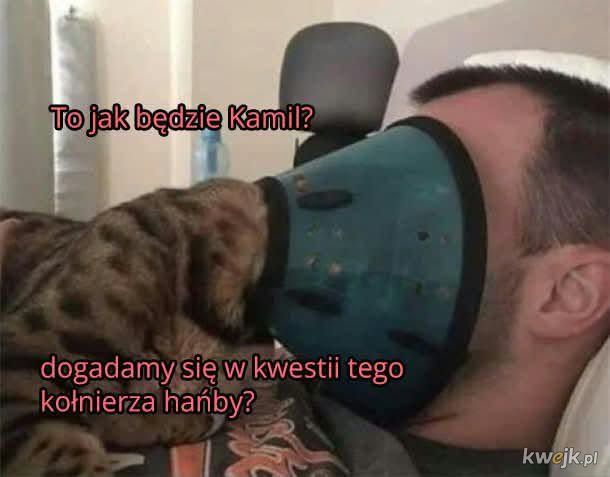 Kołnierz