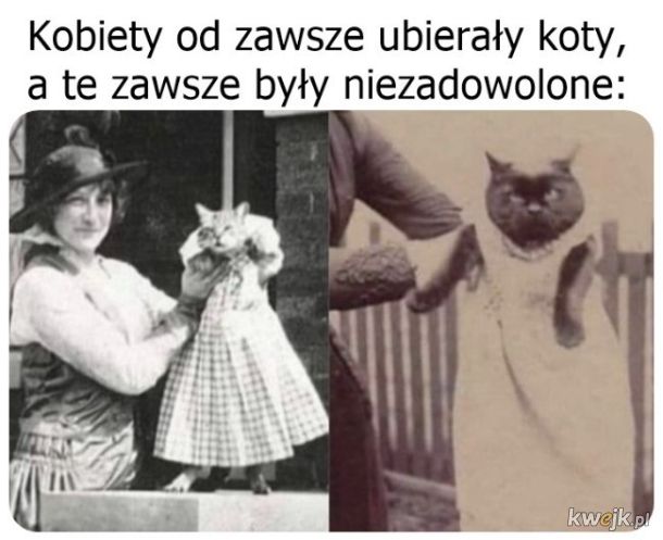 Nic dziwnego