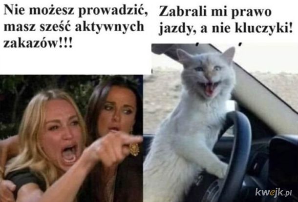 Zakaz